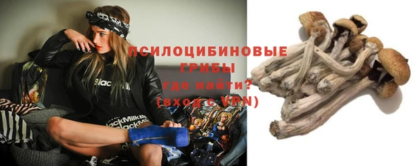 мяу мяу кристалл Магас